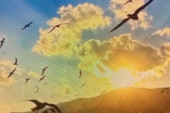 英超焦点战前瞻：热刺vs狼队、诺丁汉森林挑战桑德兰